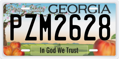 GA license plate PZM2628