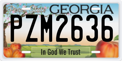 GA license plate PZM2636