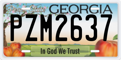 GA license plate PZM2637