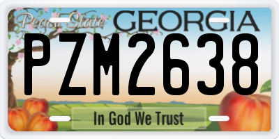 GA license plate PZM2638