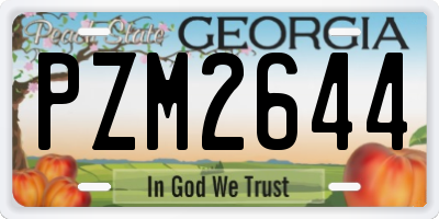 GA license plate PZM2644