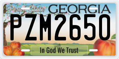 GA license plate PZM2650