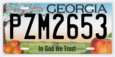 GA license plate PZM2653