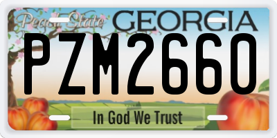 GA license plate PZM2660