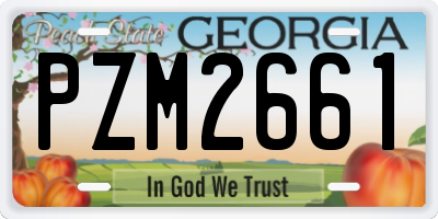 GA license plate PZM2661
