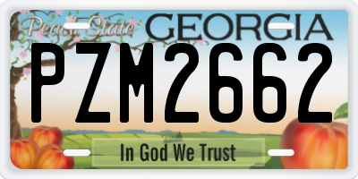 GA license plate PZM2662