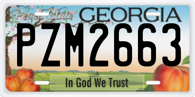 GA license plate PZM2663