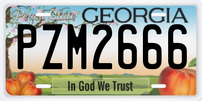 GA license plate PZM2666