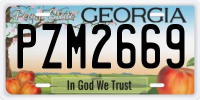 GA license plate PZM2669