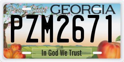 GA license plate PZM2671
