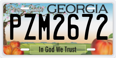 GA license plate PZM2672