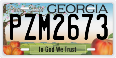 GA license plate PZM2673