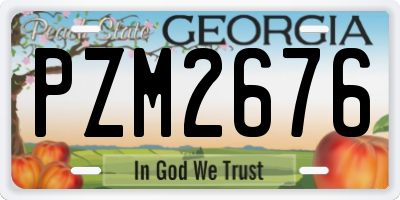 GA license plate PZM2676