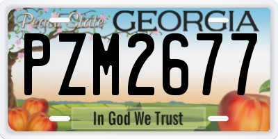 GA license plate PZM2677