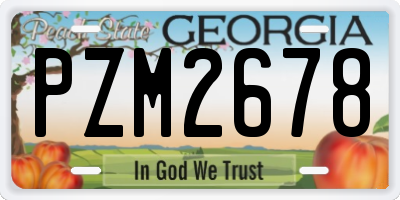 GA license plate PZM2678