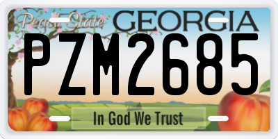 GA license plate PZM2685