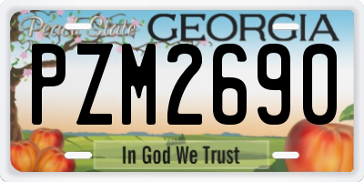 GA license plate PZM2690