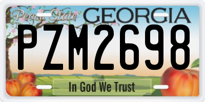 GA license plate PZM2698