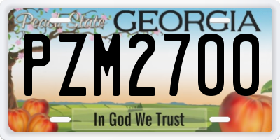 GA license plate PZM2700