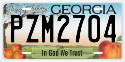 GA license plate PZM2704