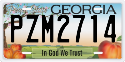 GA license plate PZM2714