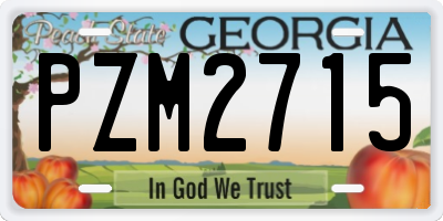GA license plate PZM2715