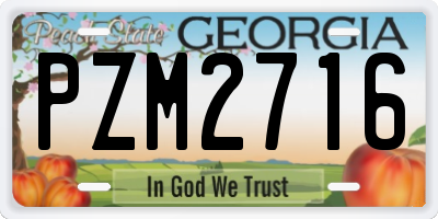 GA license plate PZM2716