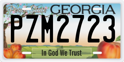 GA license plate PZM2723