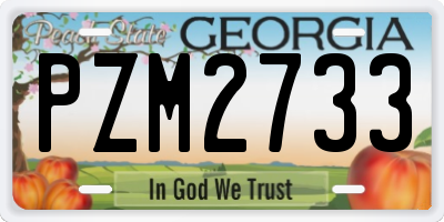 GA license plate PZM2733