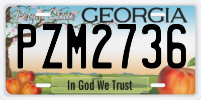 GA license plate PZM2736