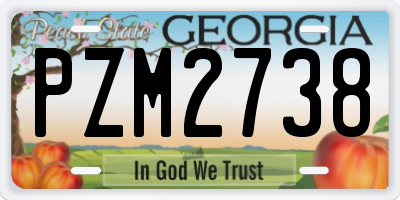 GA license plate PZM2738