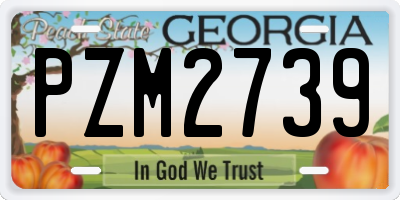 GA license plate PZM2739