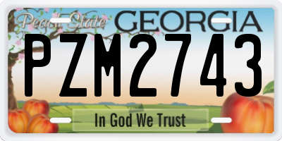 GA license plate PZM2743
