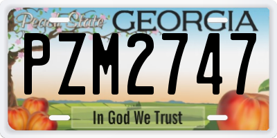 GA license plate PZM2747