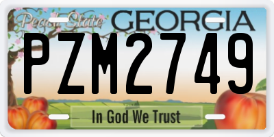 GA license plate PZM2749