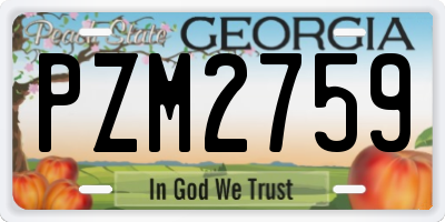 GA license plate PZM2759