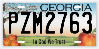 GA license plate PZM2763