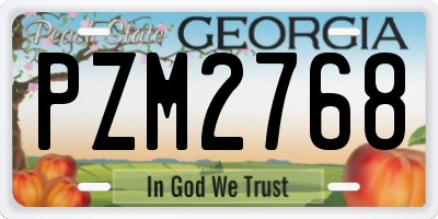GA license plate PZM2768