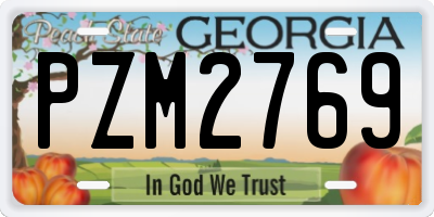 GA license plate PZM2769