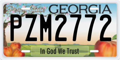 GA license plate PZM2772