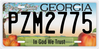 GA license plate PZM2775