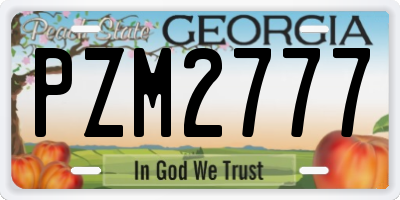 GA license plate PZM2777