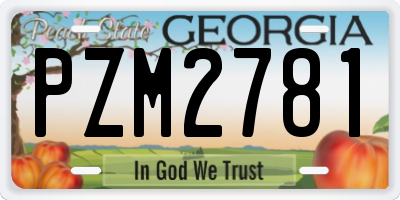 GA license plate PZM2781