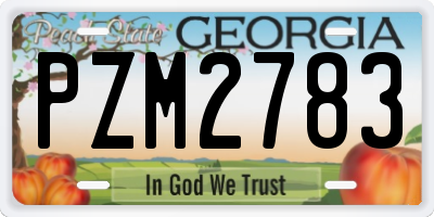 GA license plate PZM2783