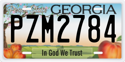 GA license plate PZM2784