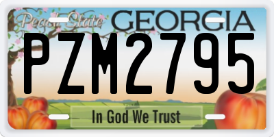 GA license plate PZM2795