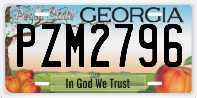 GA license plate PZM2796