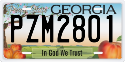 GA license plate PZM2801