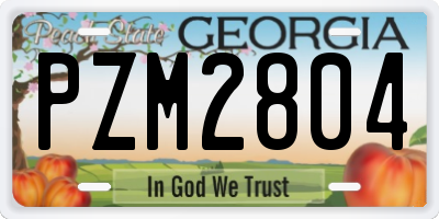 GA license plate PZM2804