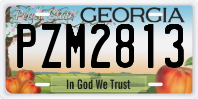 GA license plate PZM2813